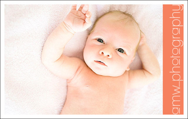 20090801_07 20090801_07