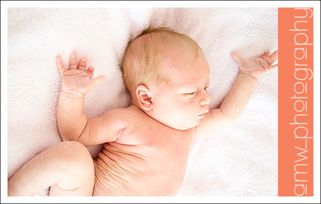 20090801_08 20090801_08