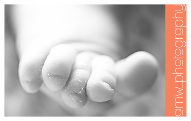 20090801_09 20090801_09