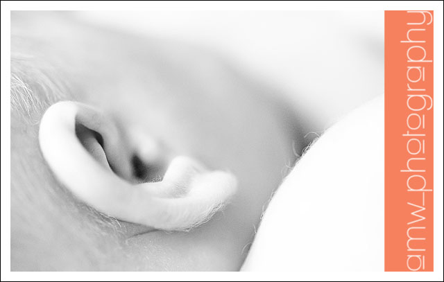 20090801_10 20090801_10