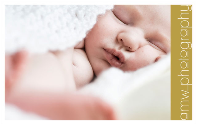 20090808_05 20090808_05