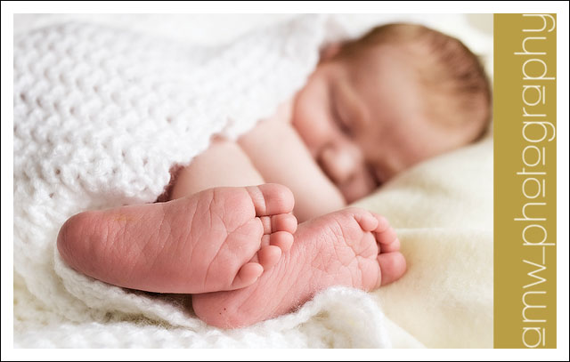 20090808_06 20090808_06