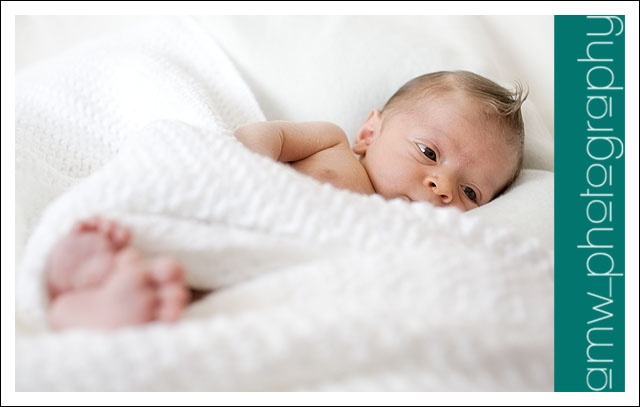 20090816_01 20090816_01