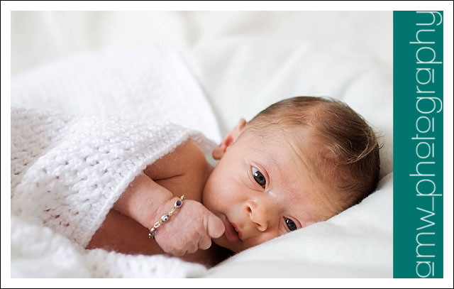 20090816_02 20090816_02