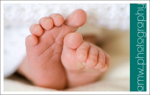 20090816_05 20090816_05