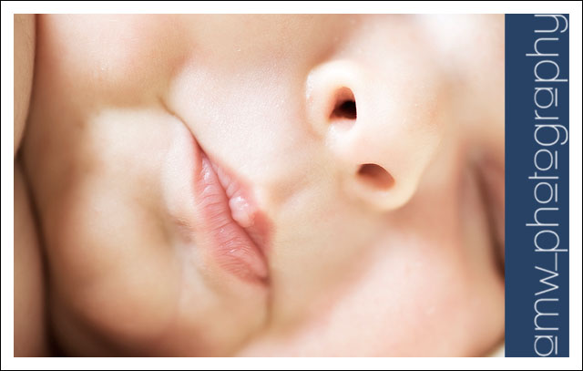 20090822_06 20090822_06