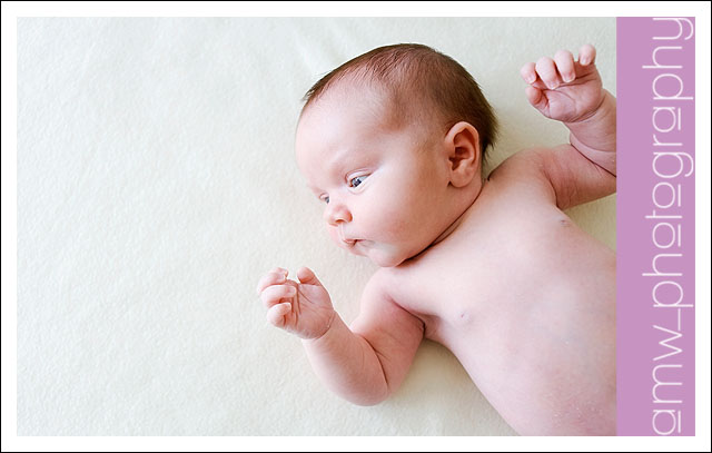 20090829_01 20090829_01