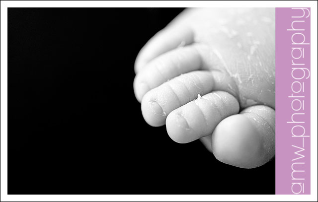 20090829_08 20090829_08