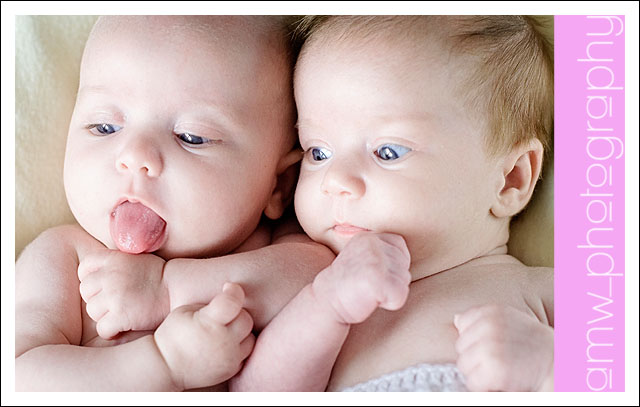 20091114_02 20091114_02