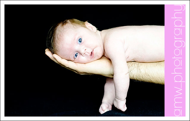 20091114_06 20091114_06