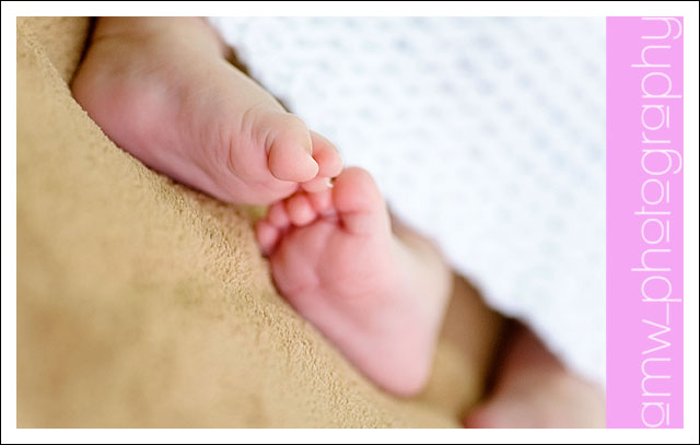 20091114_11 20091114_11