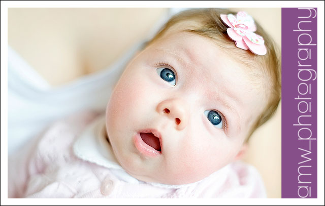 20091122_01 20091122_01