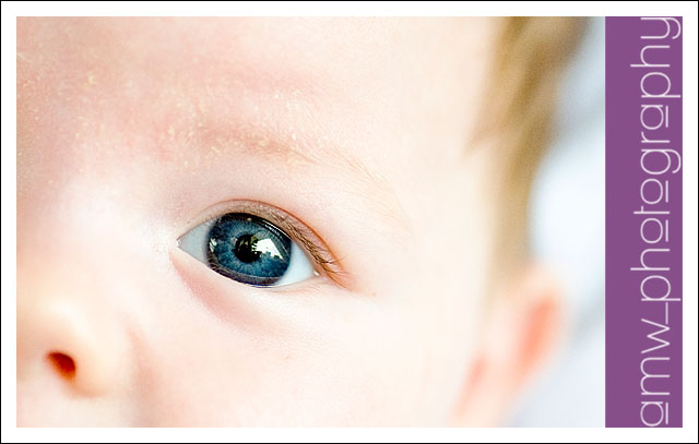 20091122_02 20091122_02