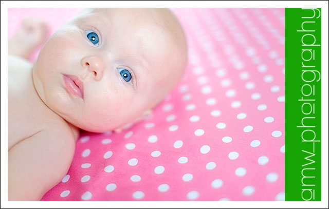 20091122_2_02 20091122_2_02