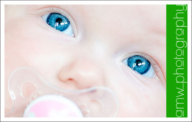 20091122_2_03 20091122_2_03