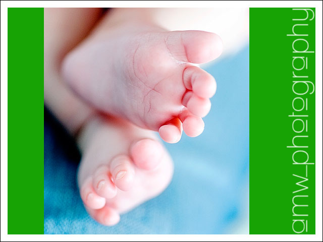 20091122_2_04 20091122_2_04