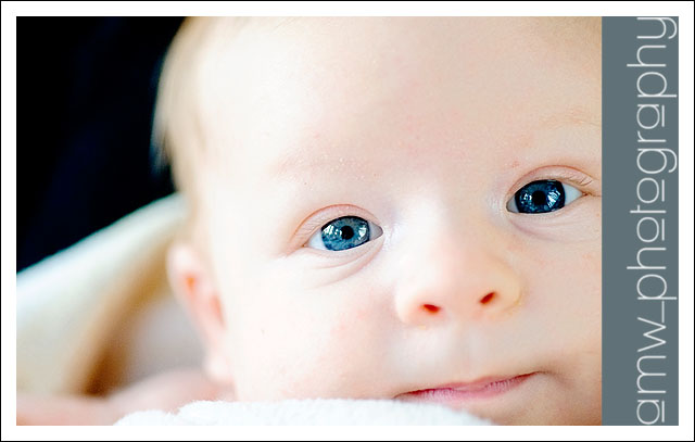 20091127_01 20091127_01