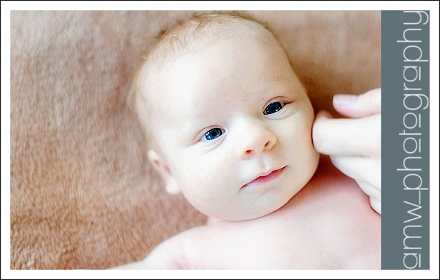 20091127_02 20091127_02