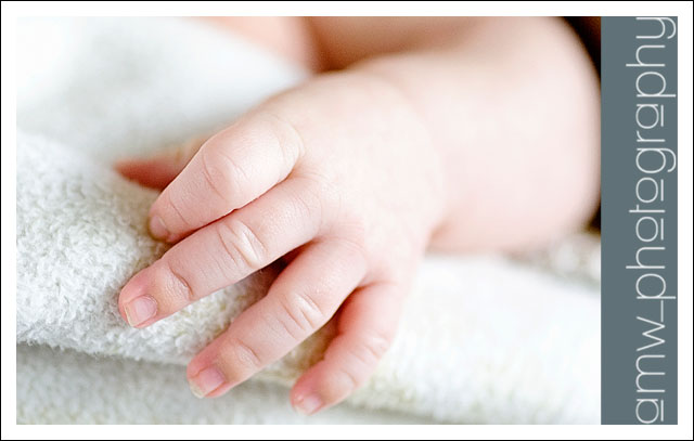 20091127_05 20091127_05