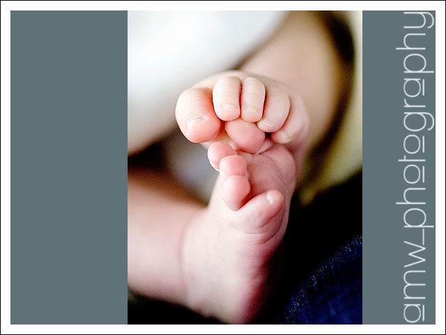 20091127_06 20091127_06