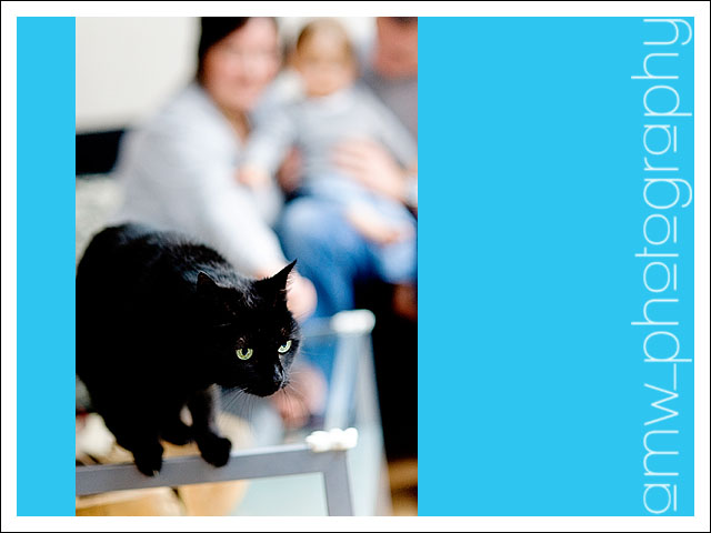 20091128_08 20091128_08