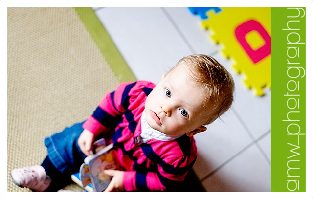 20091129_2_02 20091129_2_02