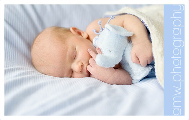 klein, zart, und einfach unwiderstehlich :)