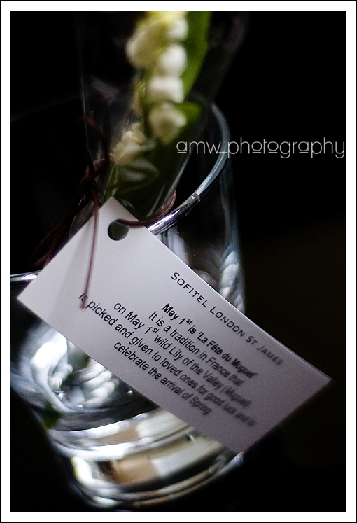 dsc_7264_kl dsc_7264_kl