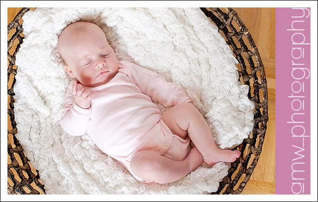 babyfotografie neugeborenenfotografie frankfurt hanau bad homburg